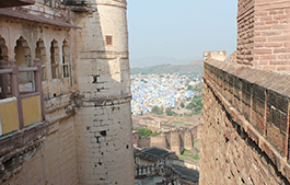 CEREAL Jodhpur 3
