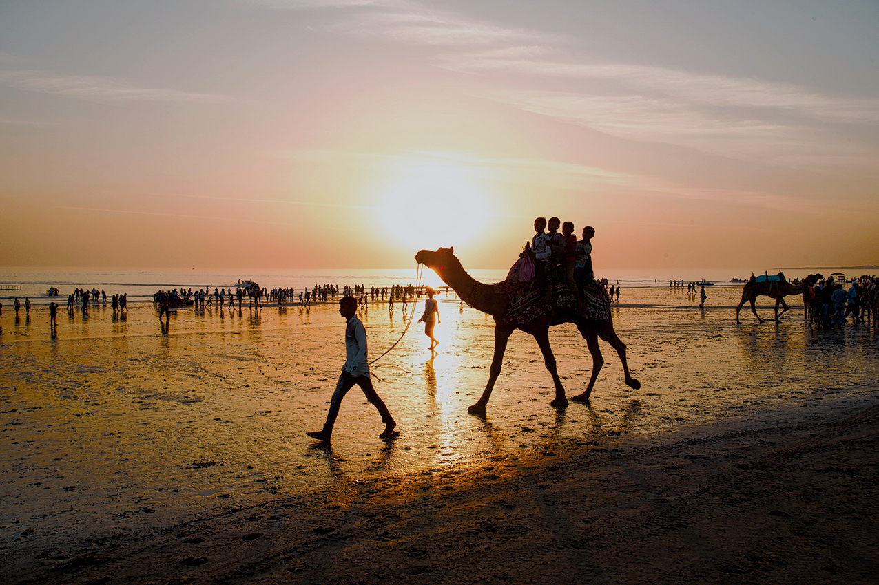 Where Desert Meets the Sea