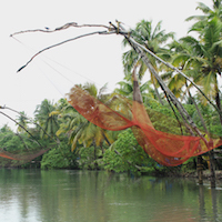 Into the Dravidian Heartland