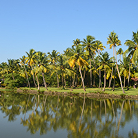 Into the Dravidian Heartland