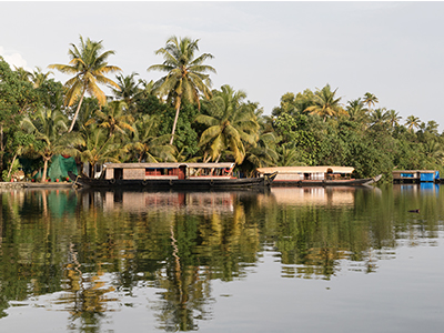 The Backwaters