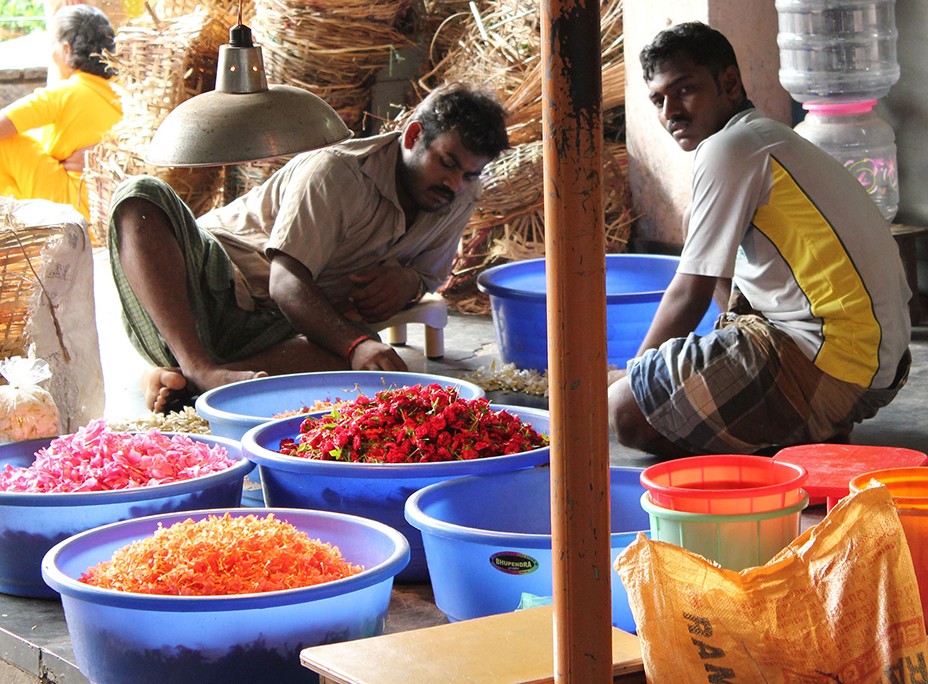 Farmers’ Markets